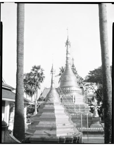 Image Gallery