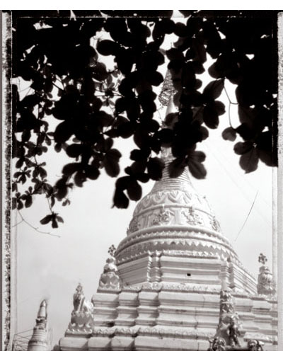 Image Gallery