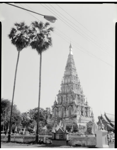 Image Gallery