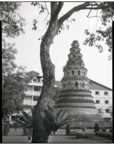 Image Gallery