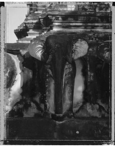 Image Gallery