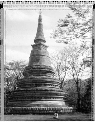 Image Gallery